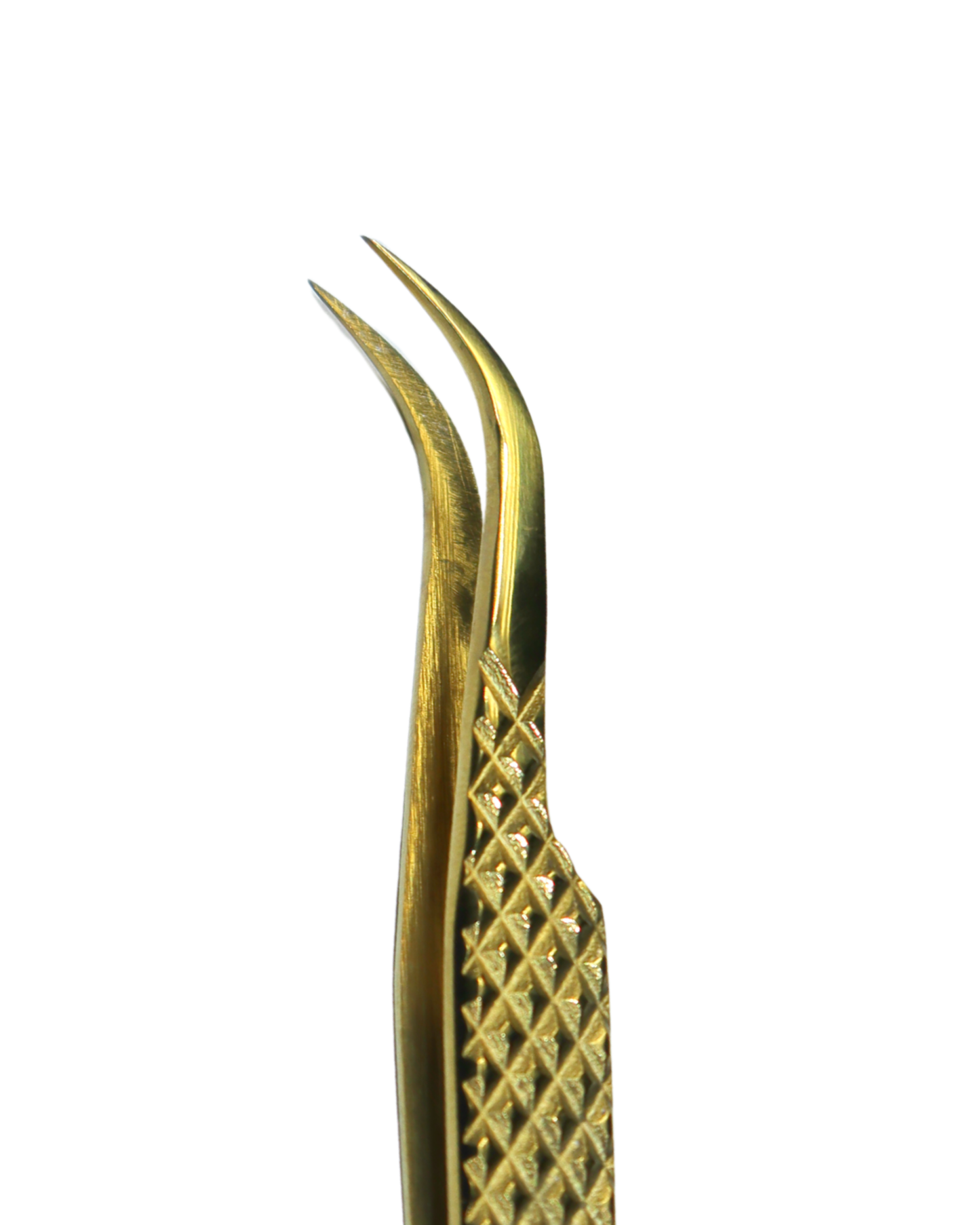 Pinza Isolated Lashlandia
