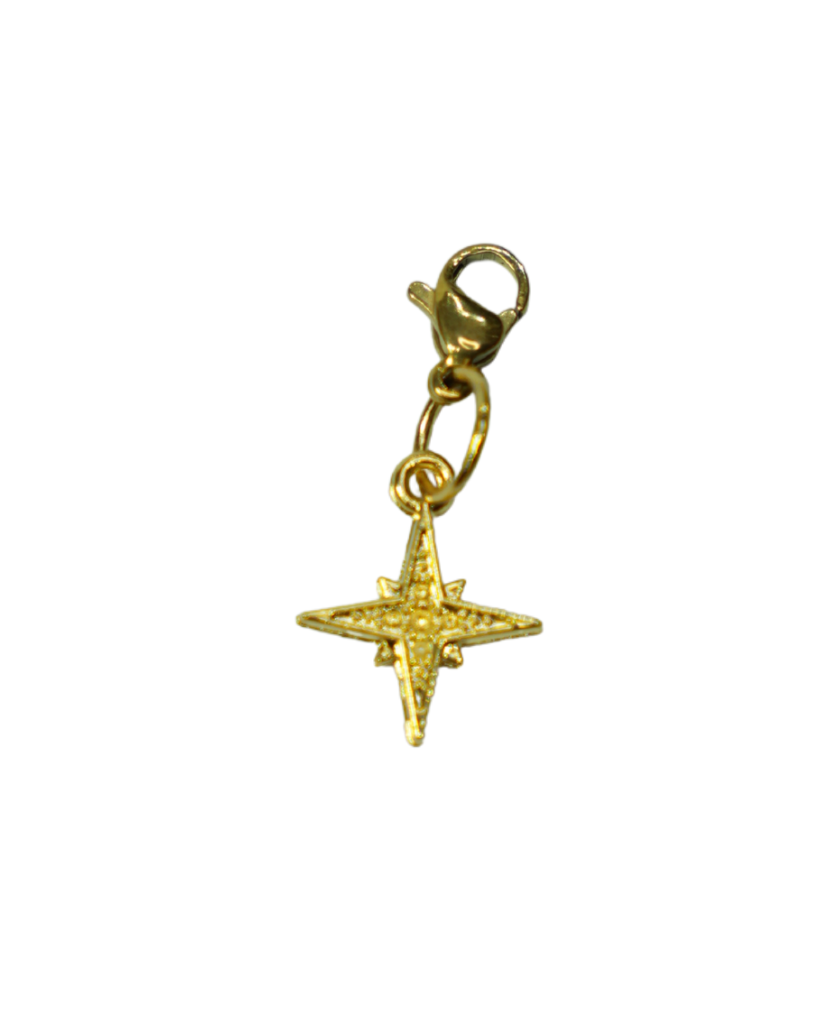 ICON NORTH STAR