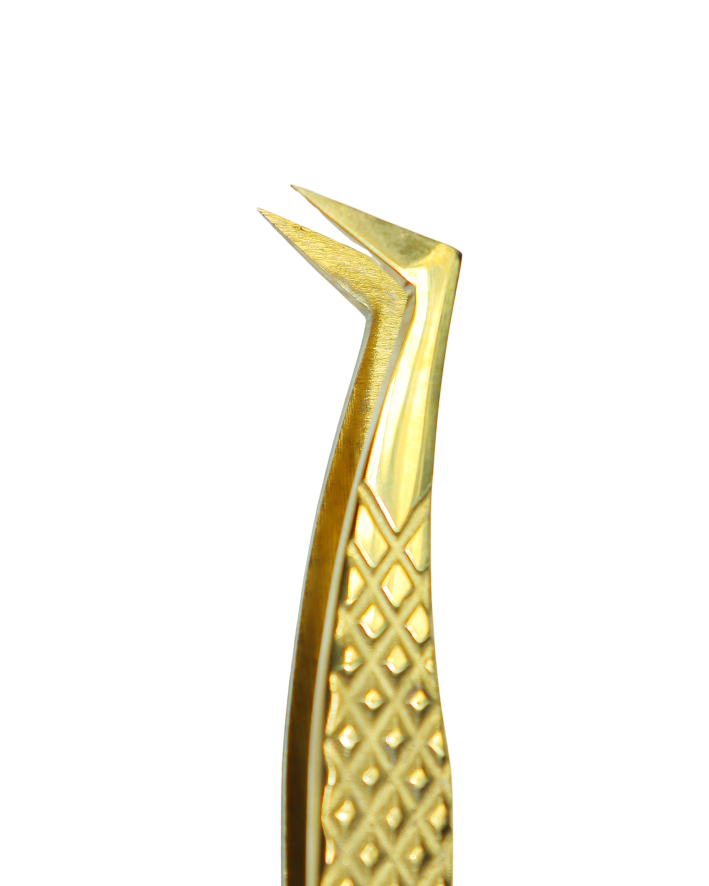 Pinza Volume L Lashlandia