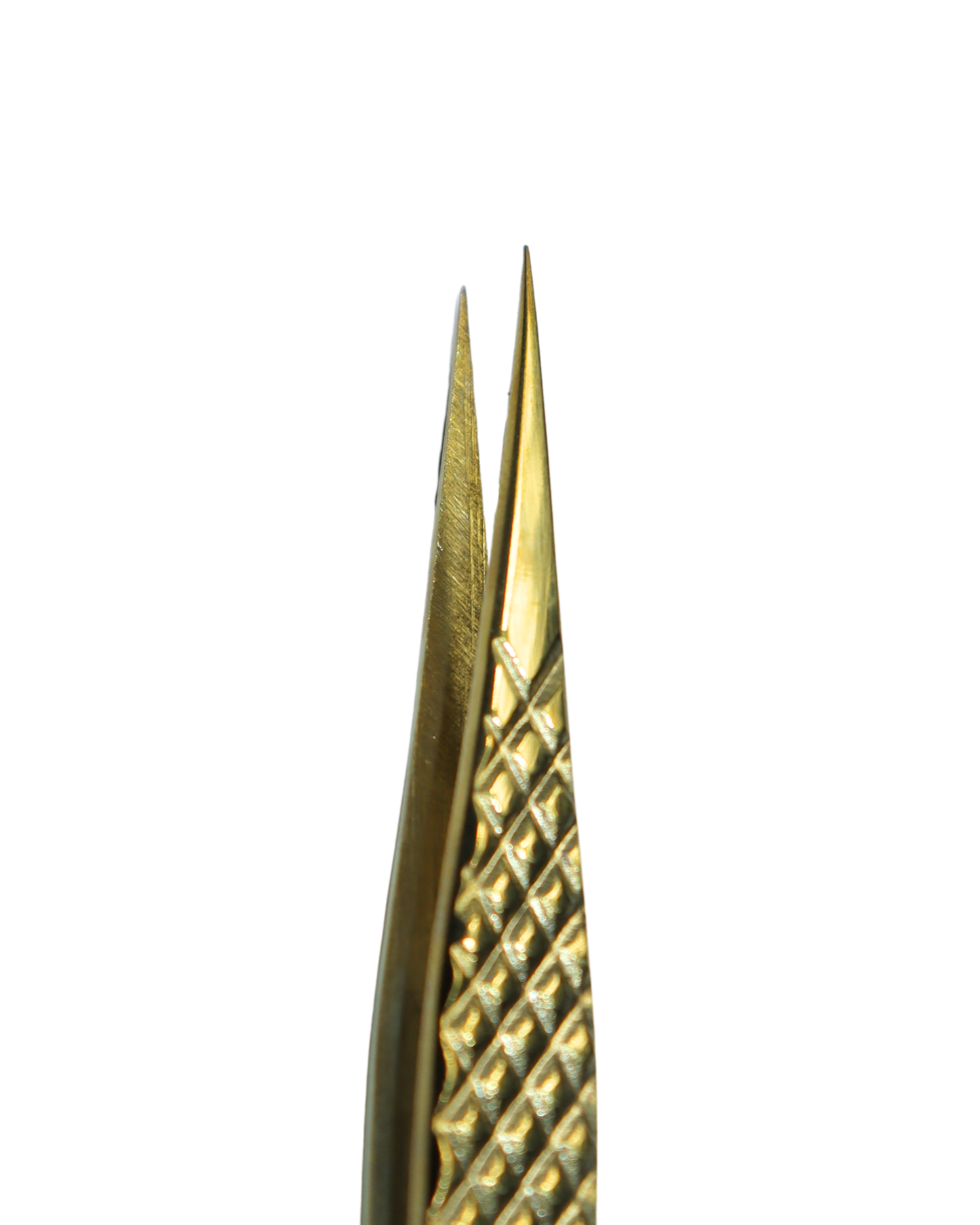 Pinza Basic Lashlandia