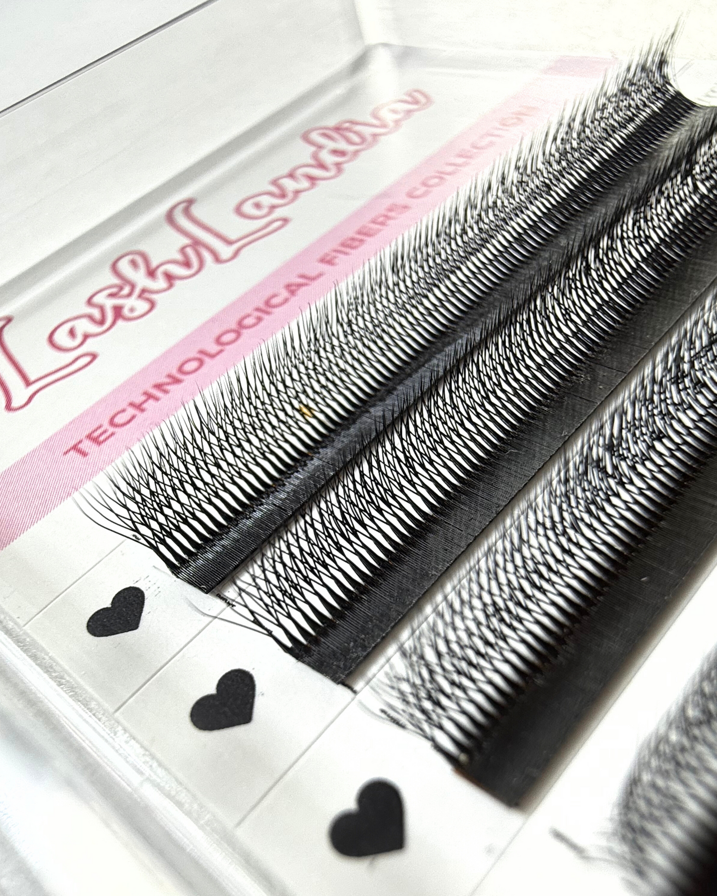 5DW Lashes