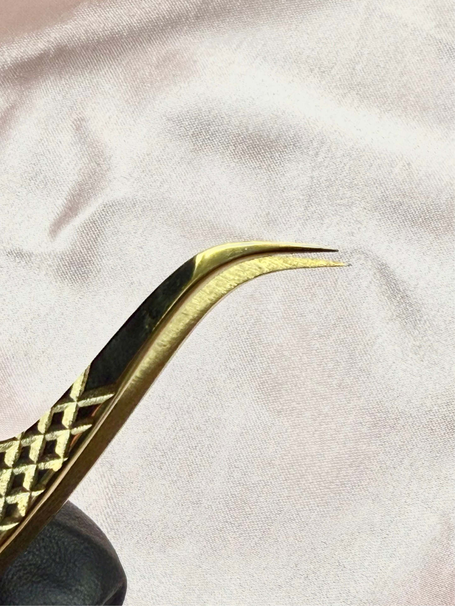 Pinza Isolated Lashlandia