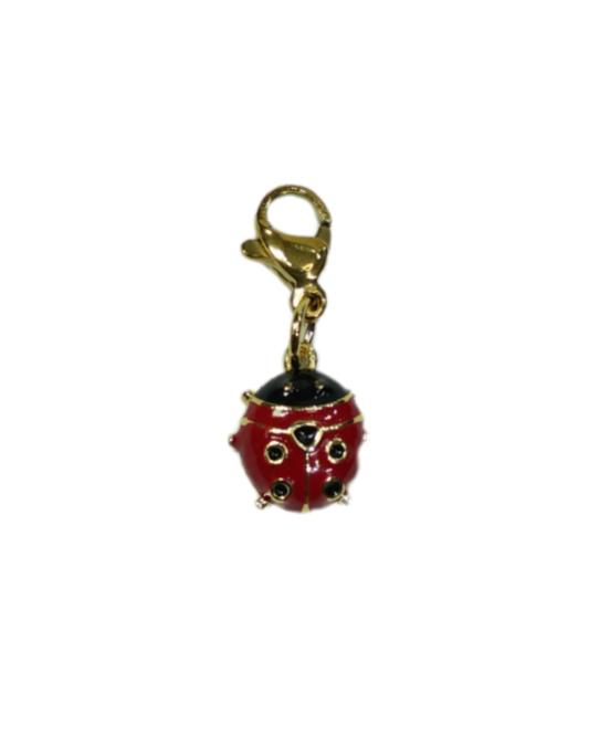 ICON LADYBUG