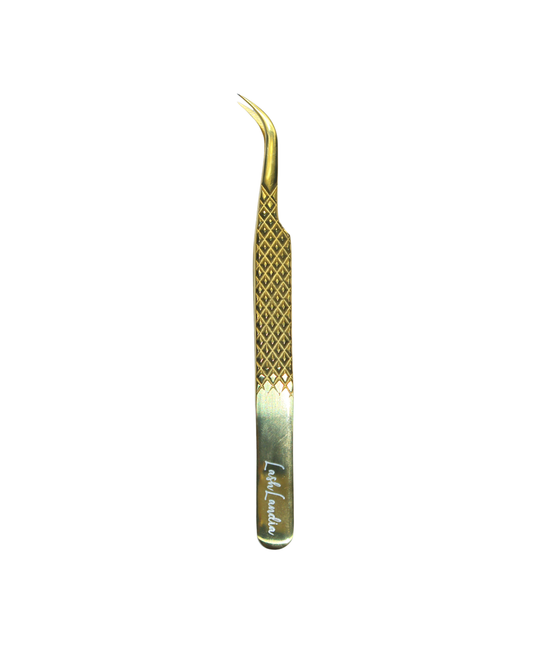 Pinza Isolated Lashlandia