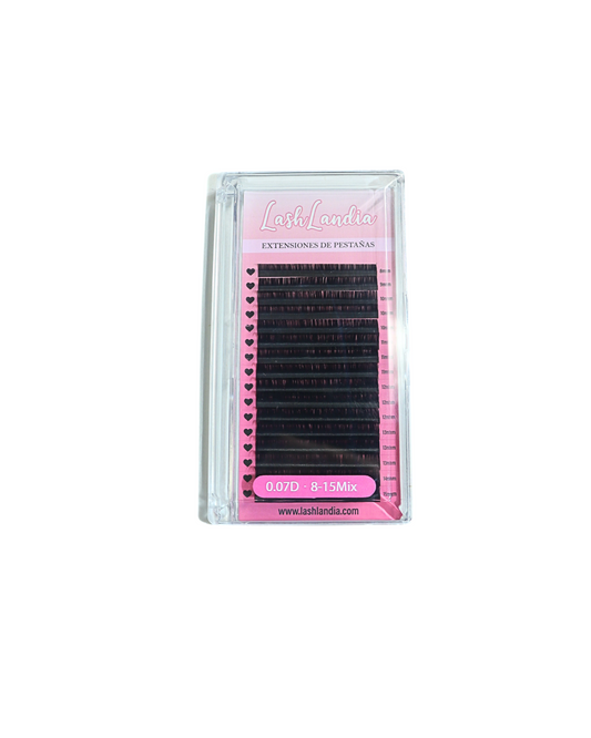 Volume Lashes